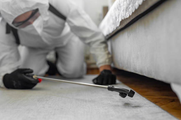 Professional Cockroach Control technician working in Continental, OH