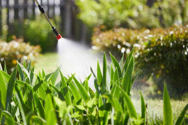 24/7 Emergency Cockroach Control experts in Continental, OH