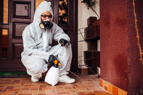 Reliable Cockroach Control contractor in Continental, OH by Nex Pest Control